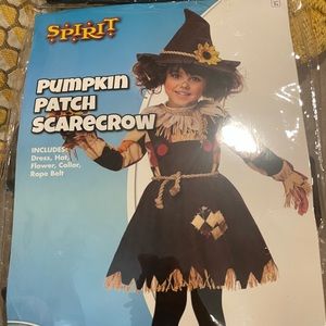 Brand New - Pumpkin Patch Scarecrow